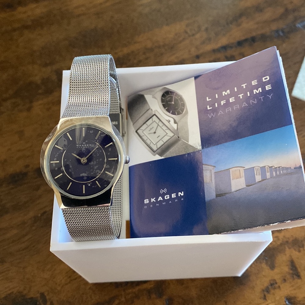 NIB SKAGEN STAINLESS STEEL WATCH